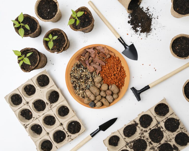 9 Best potting soil for indoor plants